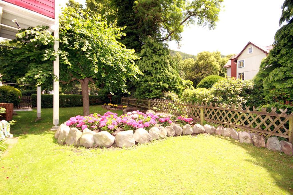 Villa Feise Bad Harzburg Ruang foto
